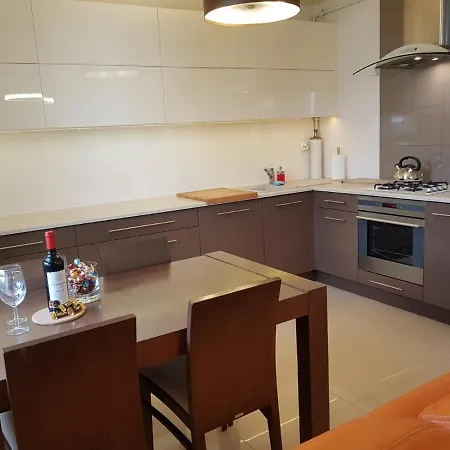 公寓 Wigilijna Apartament 卢布林