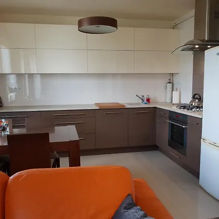 公寓 Wigilijna Apartament *